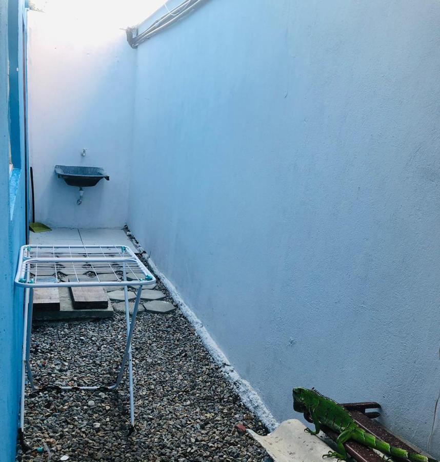 Appartement Apartamento Blue Horse Pipa à Praia de Pipa Extérieur photo